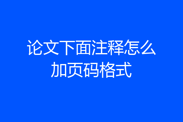 论文下面注释怎么加页码格式