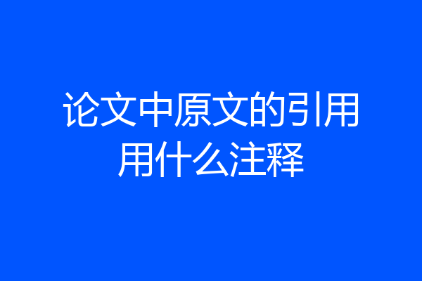 论文中原文的引用用什么注释