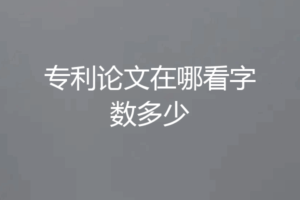 专利论文在哪看字数多少