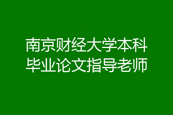 南京财经大学本科毕业论文指导老师