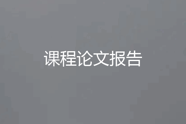 课程论文报告