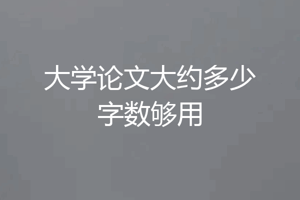 大学论文大约多少字数够用