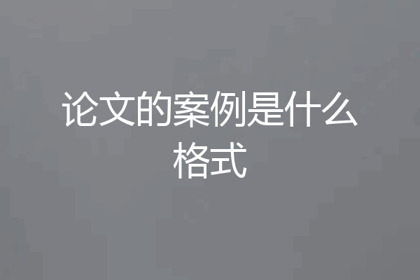 论文的案例是什么格式