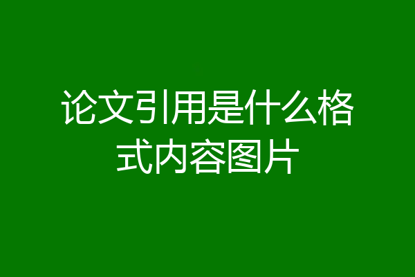 论文引用是什么格式内容图片