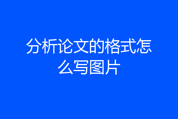 分析论文的格式怎么写图片