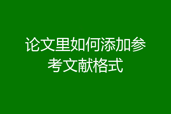 论文里如何添加参考文献格式