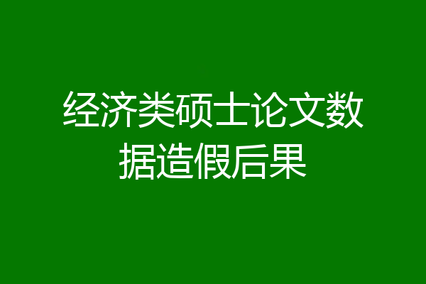 经济类硕士论文数据造假后果