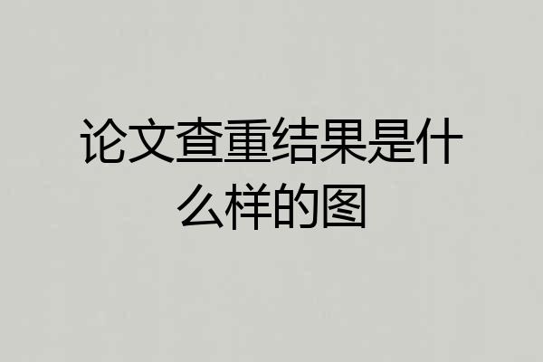 论文查重结果是什么样的图