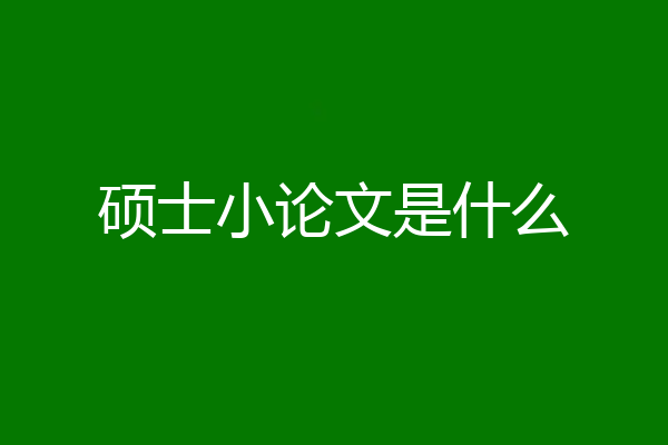 硕士小论文是什么