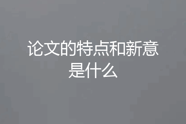 论文的特点和新意是什么