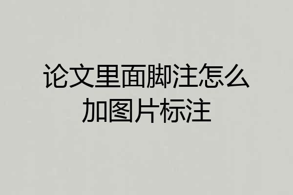论文里面脚注怎么加图片标注