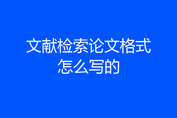 文献检索论文格式怎么写的
