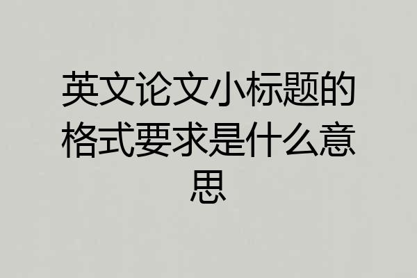 英文论文小标题的格式要求是什么意思