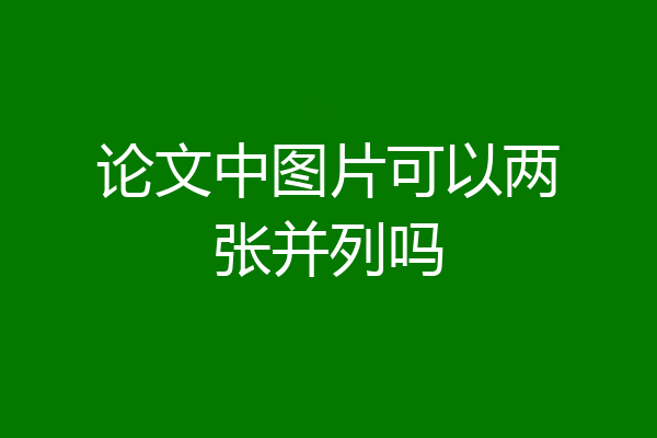论文中图片可以两张并列吗