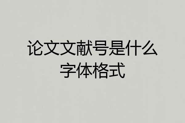 论文文献号是什么字体格式