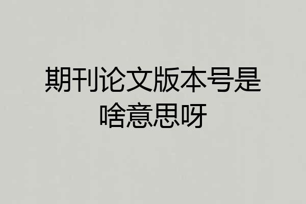 期刊论文版本号是啥意思呀