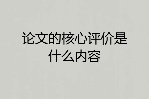 论文的核心评价是什么内容