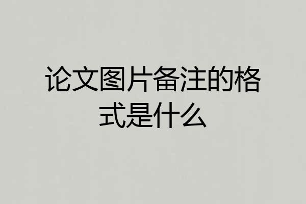 论文图片备注的格式是什么