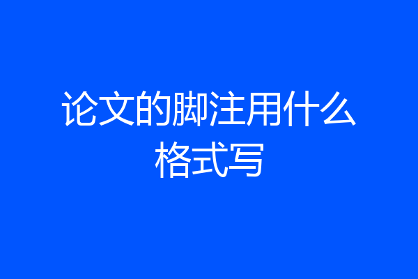 论文的脚注用什么格式写