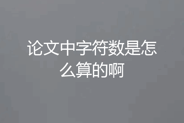 论文中字符数是怎么算的啊