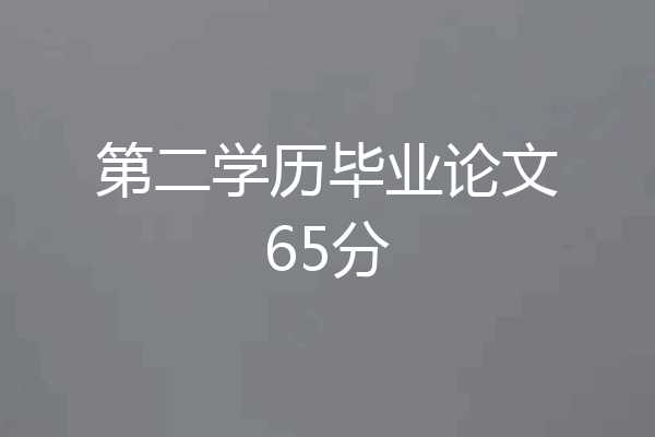 第二学历毕业论文65分