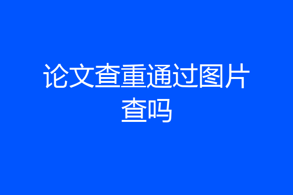 论文查重通过图片查吗
