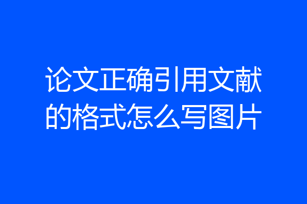 论文正确引用文献的格式怎么写图片