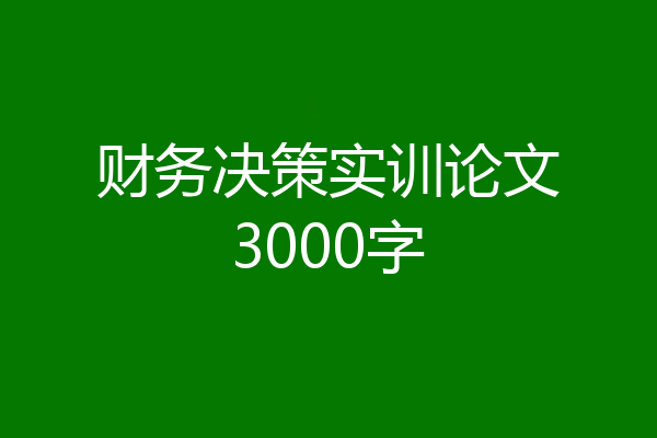 财务决策实训论文3000字