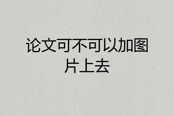 论文可不可以加图片上去