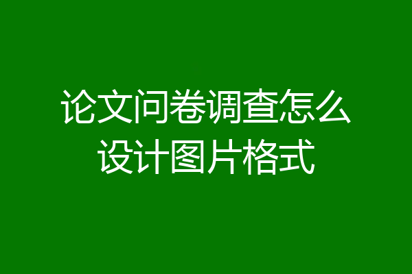 论文问卷调查怎么设计图片格式