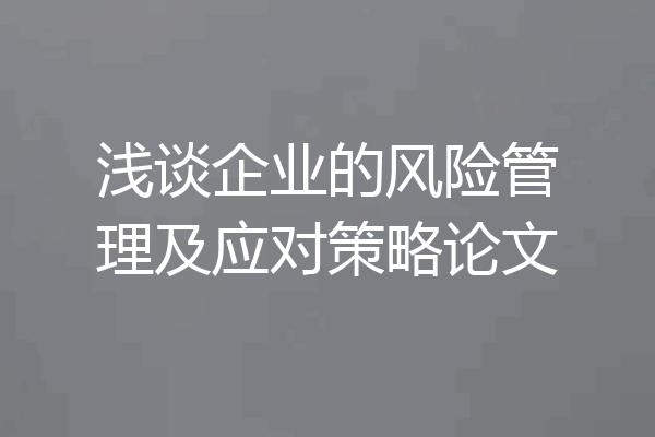 浅谈企业的风险管理及应对策略论文