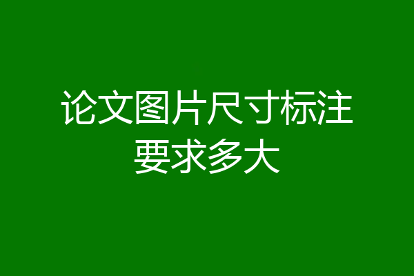 论文图片尺寸标注要求多大