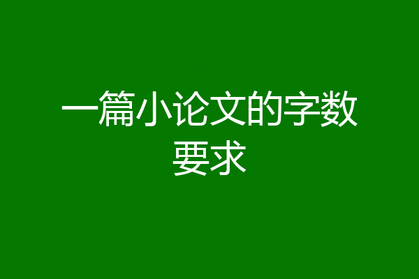 一篇小论文的字数要求