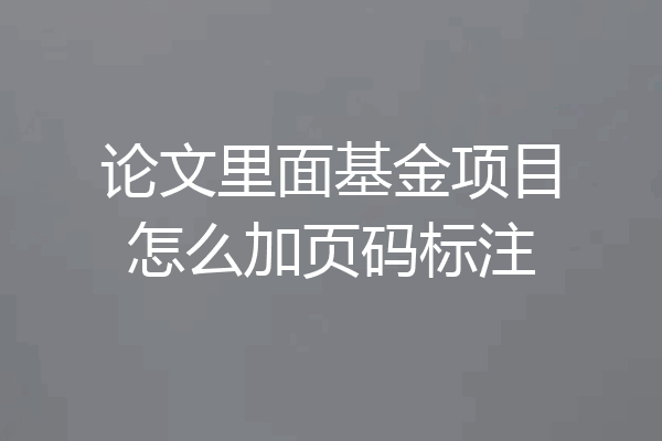 论文里面基金项目怎么加页码标注