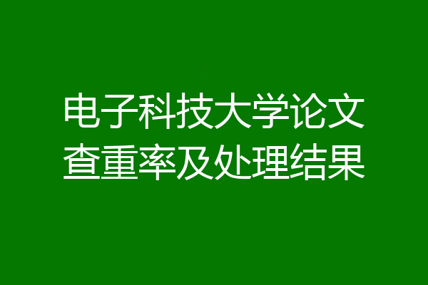 电子科技大学论文查重率及处理结果