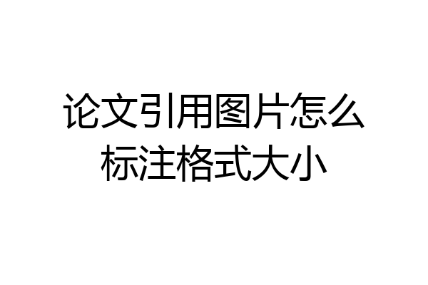 论文引用图片怎么标注格式大小
