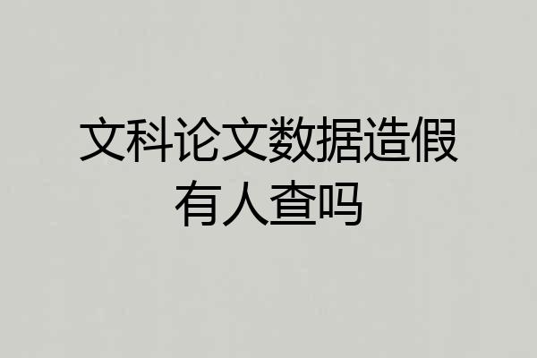 文科论文数据造假有人查吗