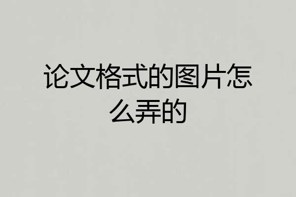 论文格式的图片怎么弄的