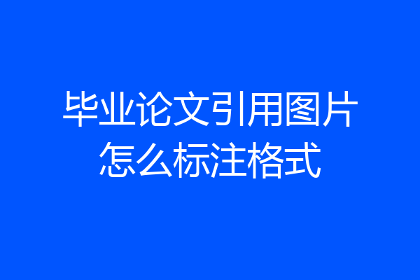 毕业论文引用图片怎么标注格式