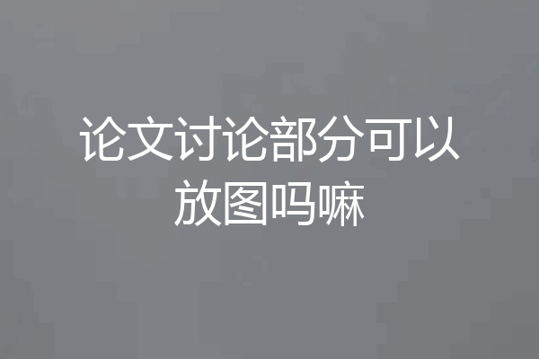 论文讨论部分可以放图吗嘛