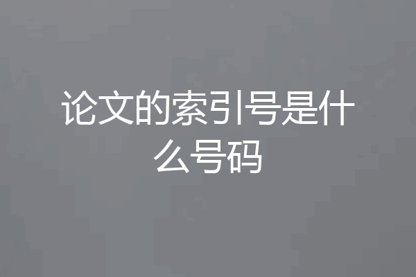 论文的索引号是什么号码