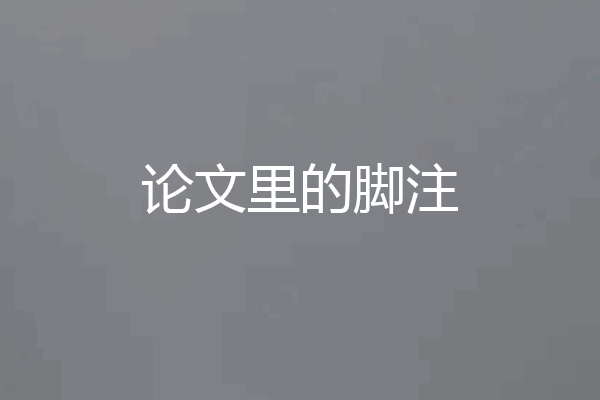 论文里的脚注