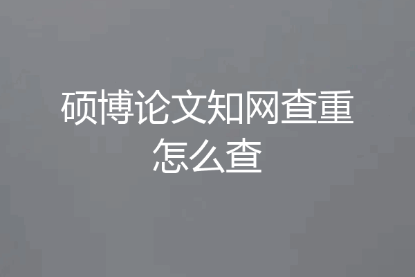 硕博论文知网查重怎么查