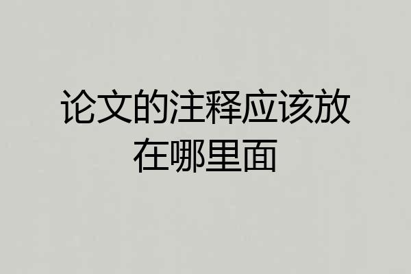 论文的注释应该放在哪里面