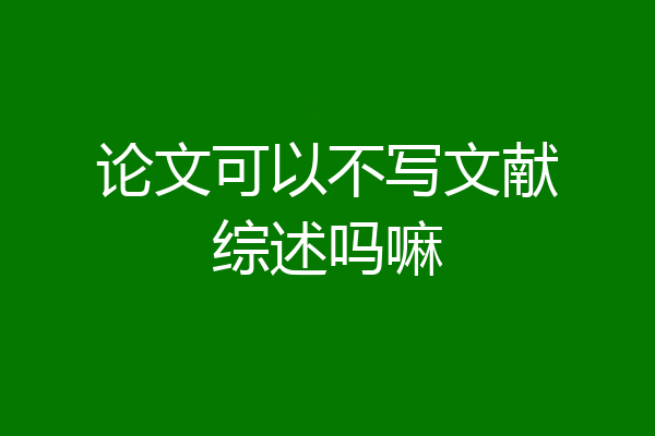 论文可以不写文献综述吗嘛