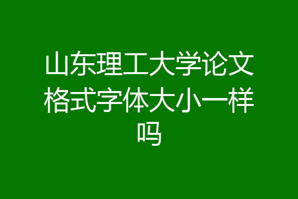 山东理工大学论文格式字体大小一样吗
