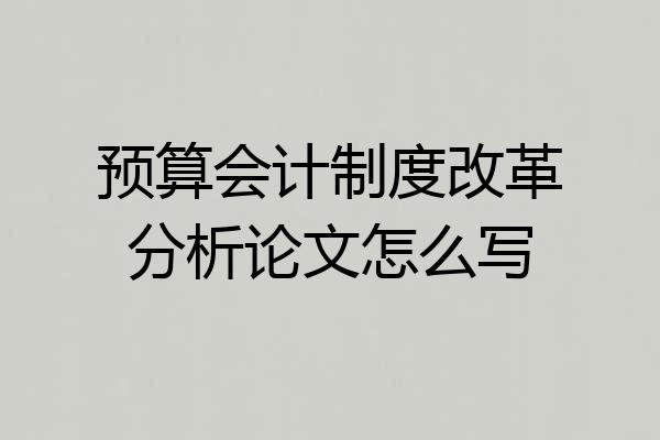 预算会计制度改革分析论文怎么写