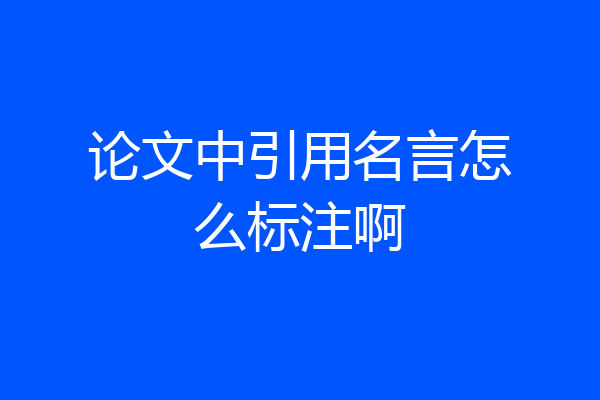 论文中引用名言怎么标注啊