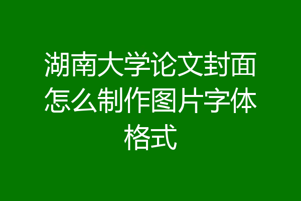 湖南大学论文封面怎么制作图片字体格式