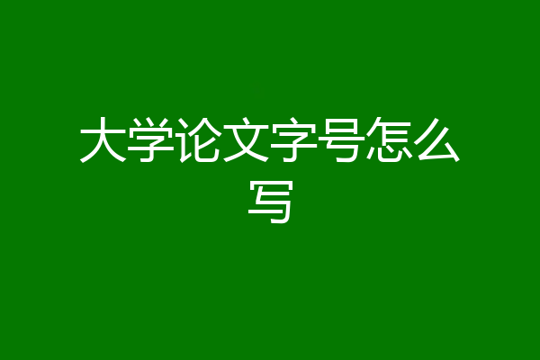 大学论文字号怎么写